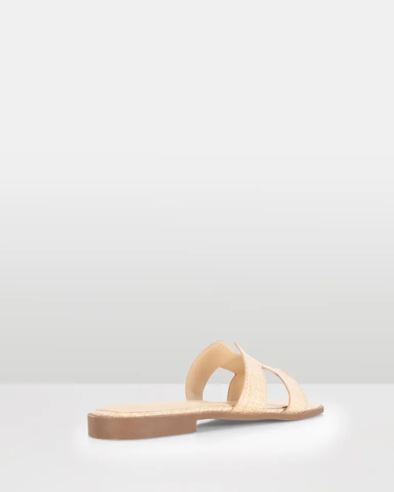 Harp