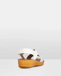 Sail